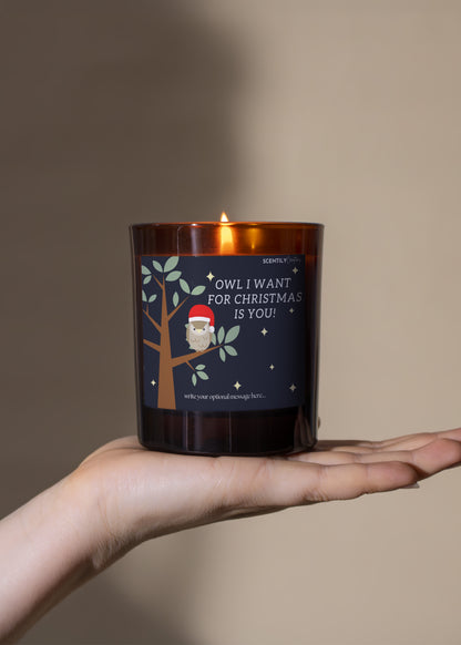 Christmas Owl Scented Candle