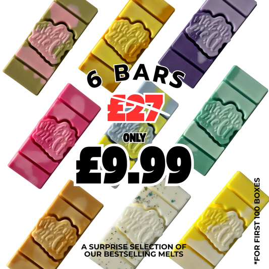Make Me Melt – Discovery Box (6 Wax Melt Bars)